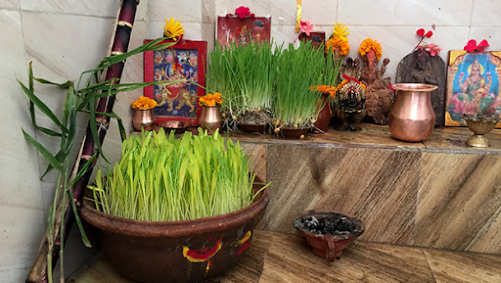 आज नवरात्रको सातौँ दिन, घरघरमा फूलपाती भित्राएर मनाइँदै