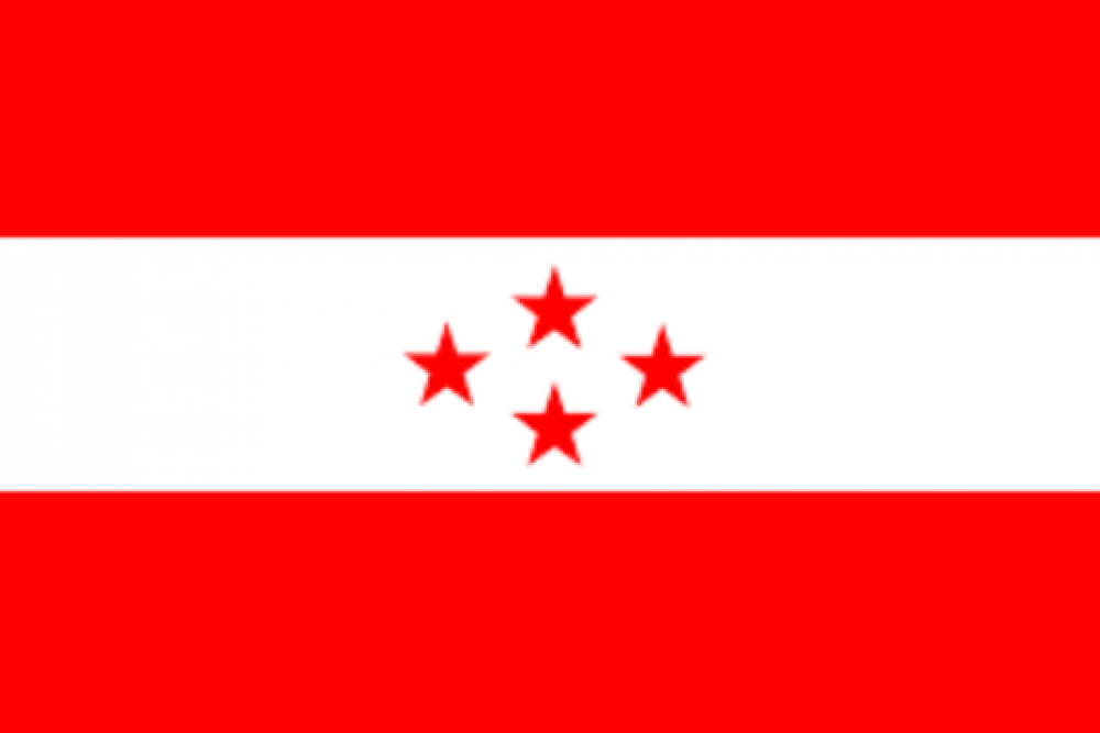 झापा कांग्रेस मतगणना लाइभ : सभापतिमा कट्टेल अगाडी