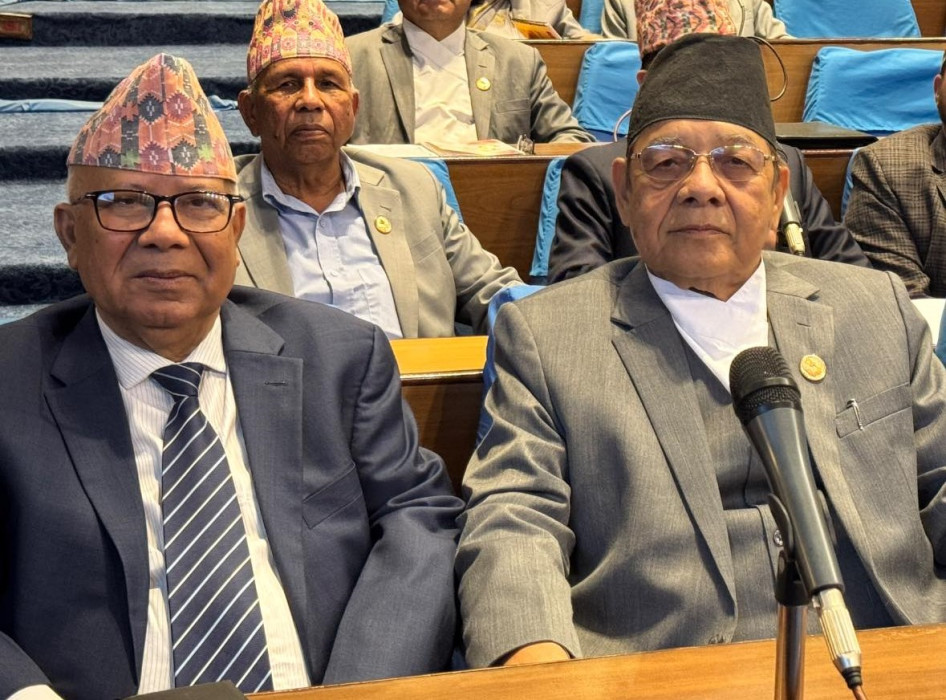 नीति तथा कार्यक्रममा नेकपा एसको लाइनमा बसे बामदेव