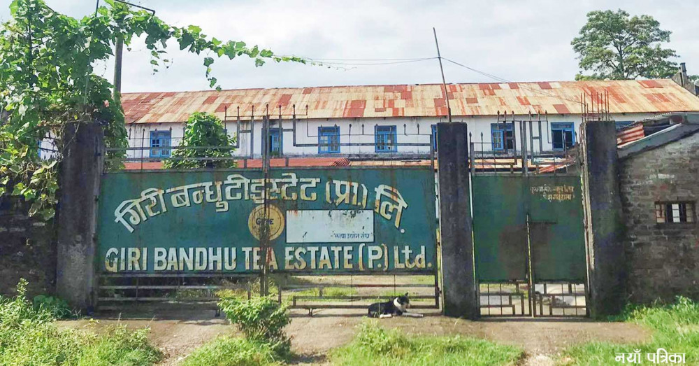 गिरीबन्धु टी स्टेटको जग्गा सट्टापट्टा गर्ने निर्णय प्रदेश सरकारद्वारा बदरको माग