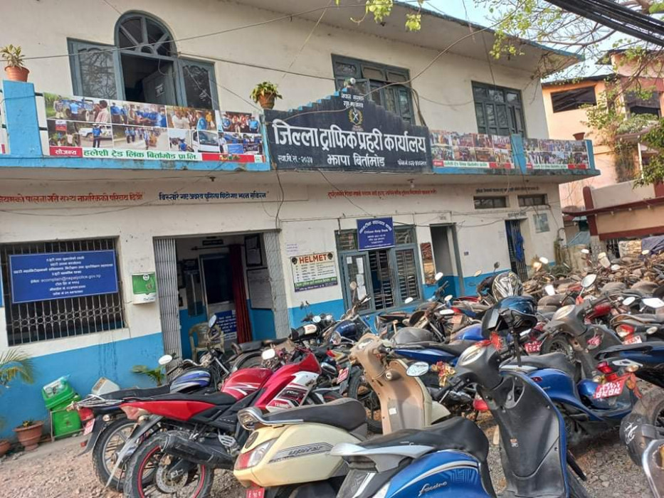 झापामा २३१ सवारी नियन्त्रणमा