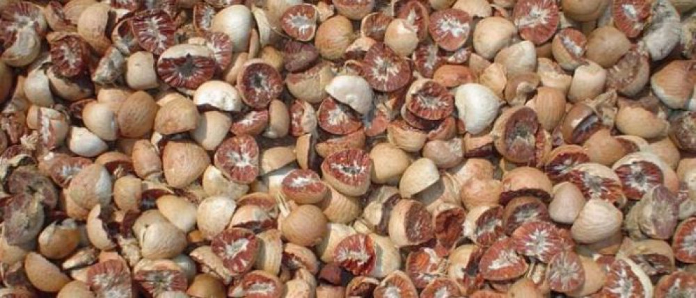 सुपारी आयात रोक्न निर्देशन