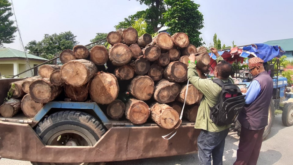 फर्निचरबाट सखुवाको काठ बरामद