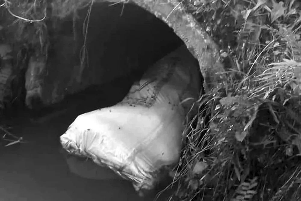 बोरामा हालेर फ्याँकिएको शव फेला