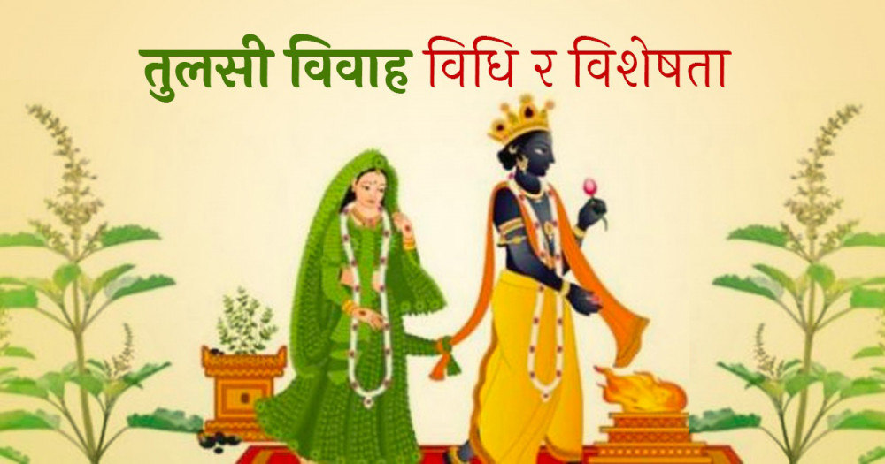 आज हरिबोधिनी एकादशी, तुलसीको विवाह गरेर मनाइँदै