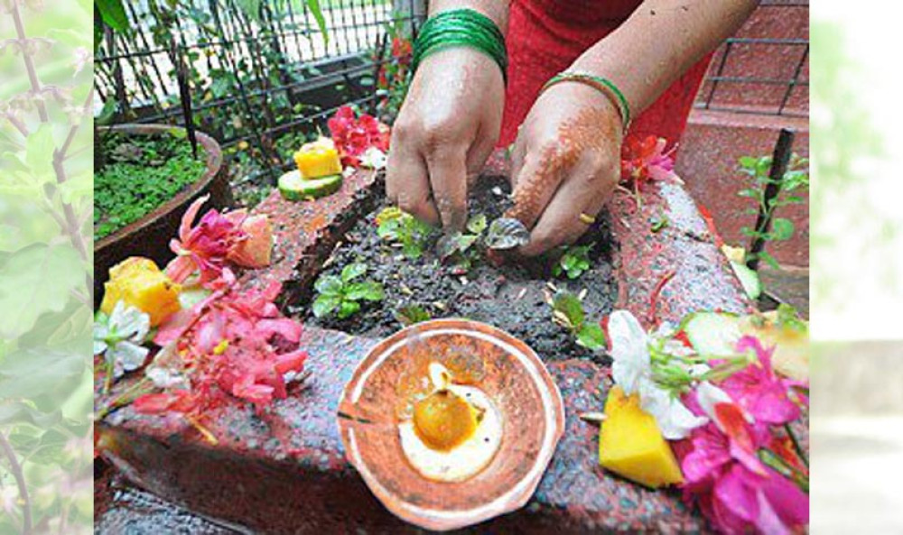आज देवशयनी एकादशी अर्थात तुलसी रोप्ने दिन