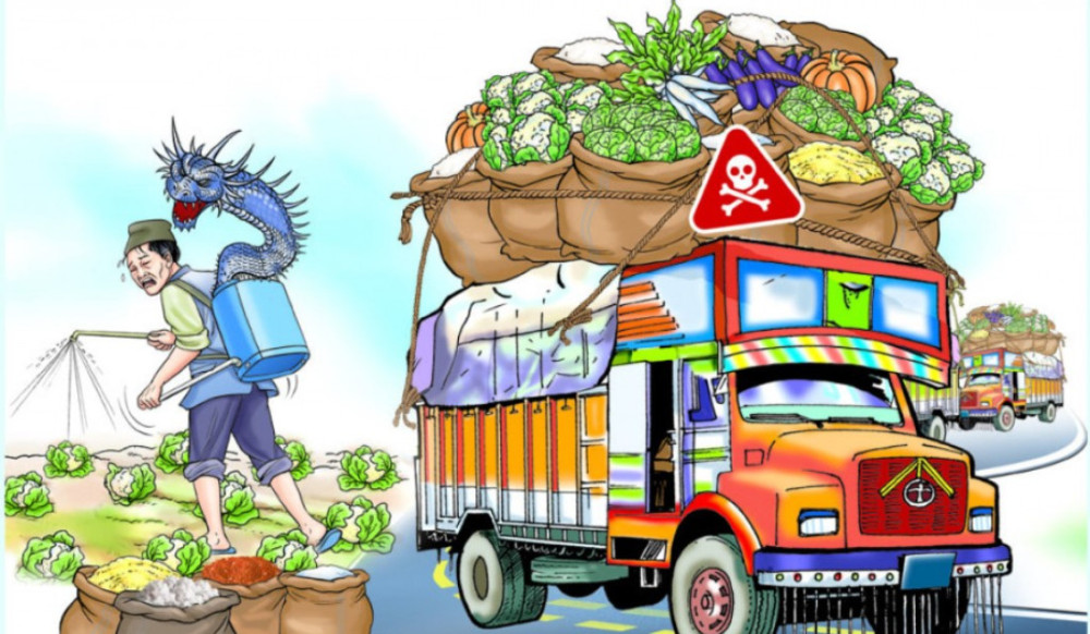 विषाक्त आँप नेपाल भित्रिनबाट रोकियो