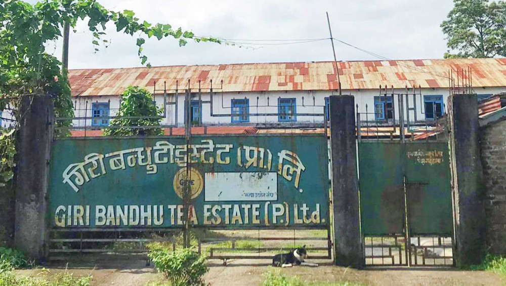 गिरीबन्धु टी स्टेट्स जग्गा प्रकरणको छानबिन हुने