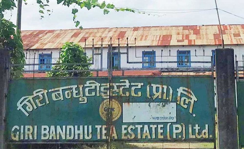 गिरी बन्धु टी स्टेटको जग्गा सट्टा भर्ना गर्ने निर्णय बदर