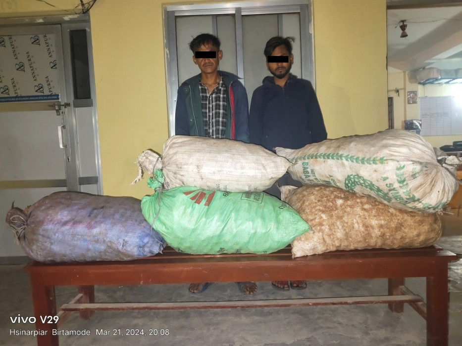 बगानबाटै सुपारी चोर पक्राउ