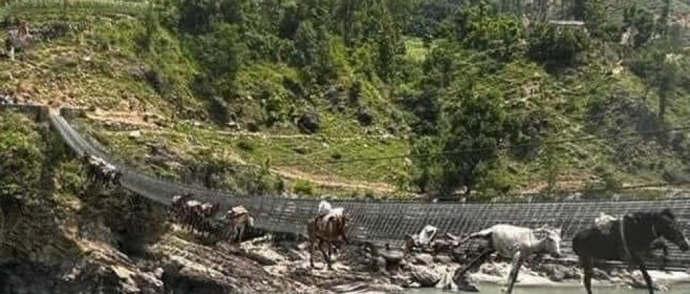 पुलमा फसेका खच्चडको उद्धारमा खटिएका २ प्रहरी पुरस्कृत
