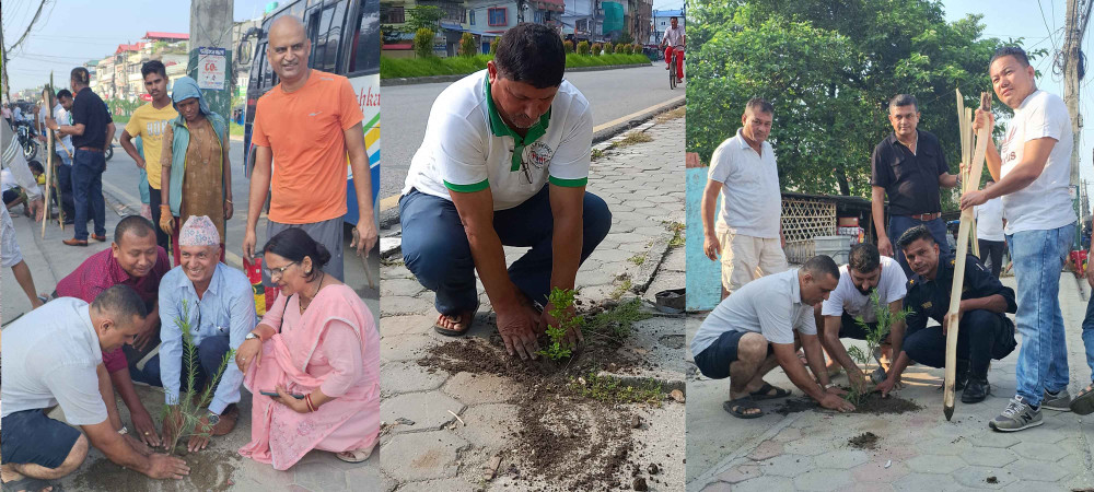 भद्रपुर रोडमा रोपियो ४ सय बिरुवा