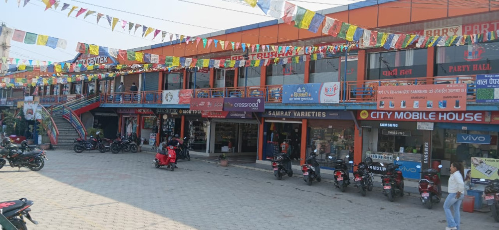 सामुदायिक कुकुर व्यवस्थापनका लागि 'सिटी सेन्टर विन्टर सेल' अफर