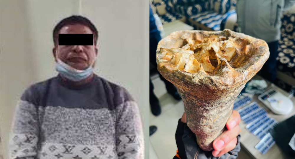गैडाको खाग जस्तो देखिने वस्तुसहित एक भारतीय पक्राउ