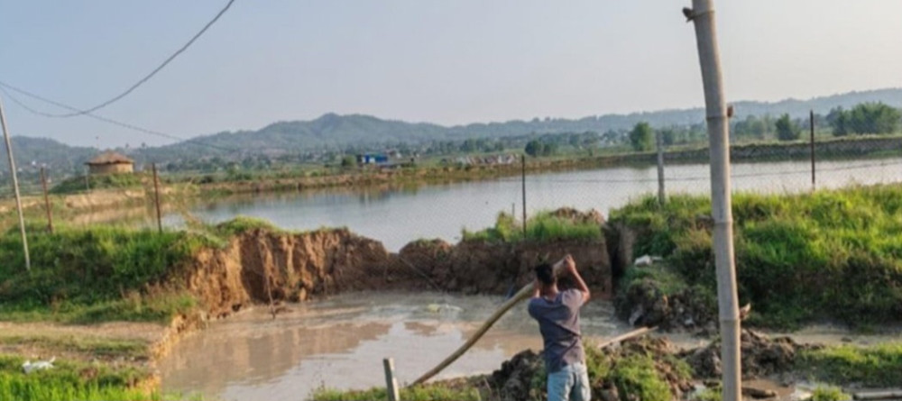 हेटौंडामा रोकेर राखेको गाडी भासिएर बेपत्ता