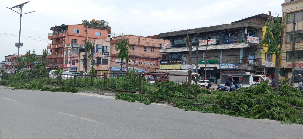 उद्योग वाणिज्य सङ्घद्वारा बिर्तामोड सरसफाई