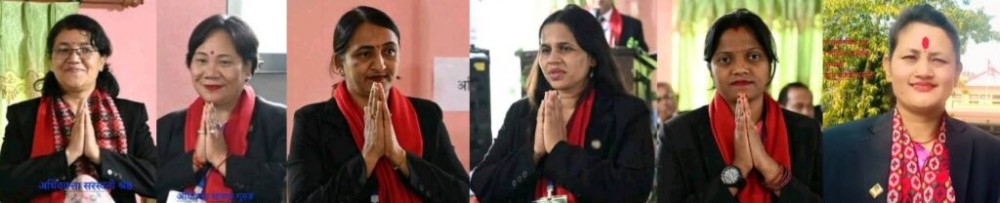 नेपाल बार एसोसिएसनको महिला समिति गठन